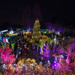 St Luke's Festival of Light